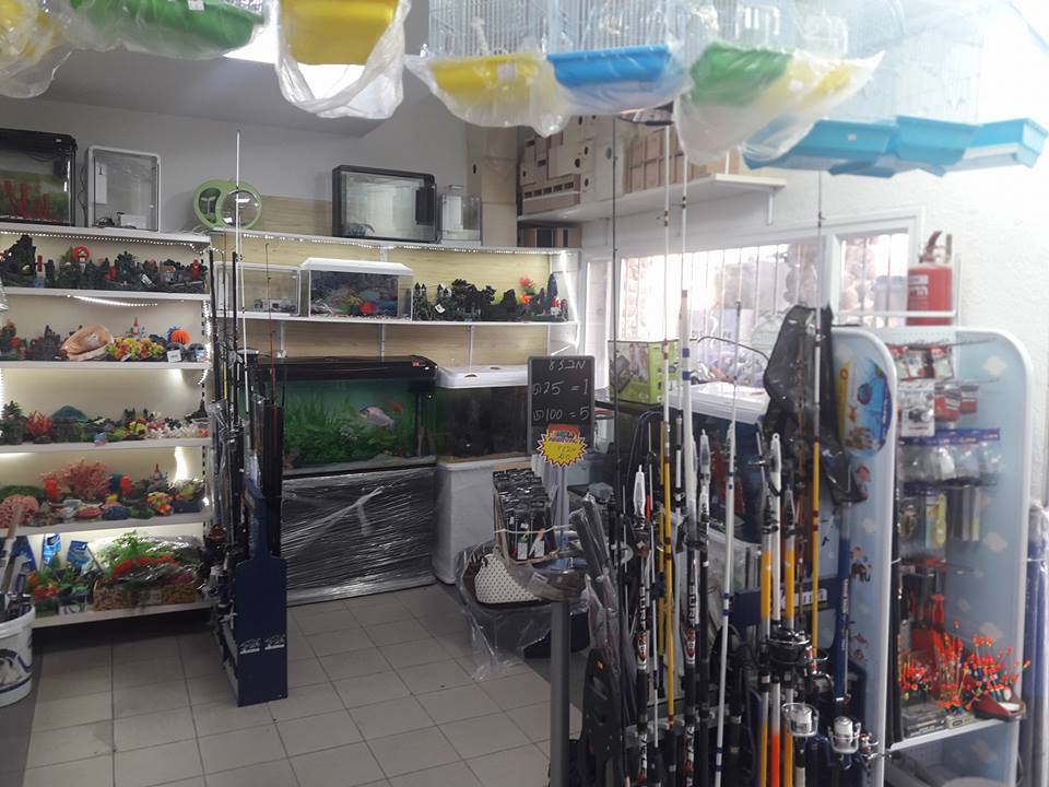 בדרך לרמת הגולן חוויה בלתי נשכחת בפארוט יהודה .